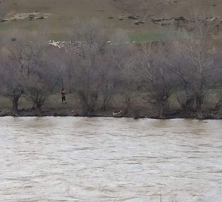 ქვახვრელთან, ხელოვნური კუნძულიდან მწყემსების გამოყვანა ვერ ხერხდება