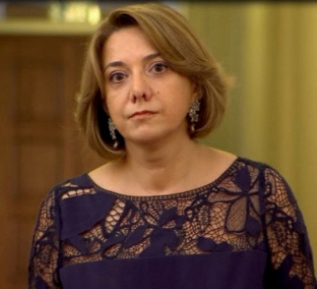 “ვერ ვხედავ, რომ დღეს შემოთავაზებული წინადადებები, ამ თვალსაზრისით კომპლექსურად გადაჭრის პრობლემას”