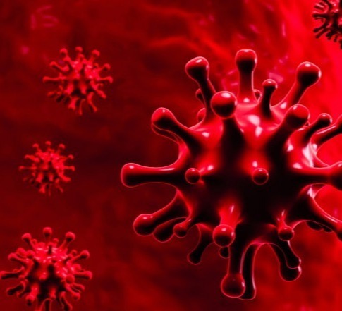 The number of COVID-19 infections in the world exceeded 128 million, the number of victims – 2.8 million