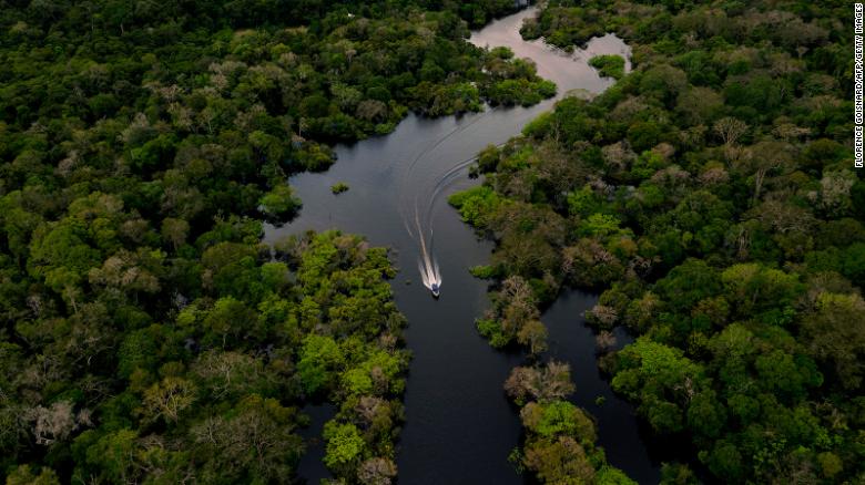 Amazon rainforest is emitting more carbon dioxide than it absorbs in some areas, study says