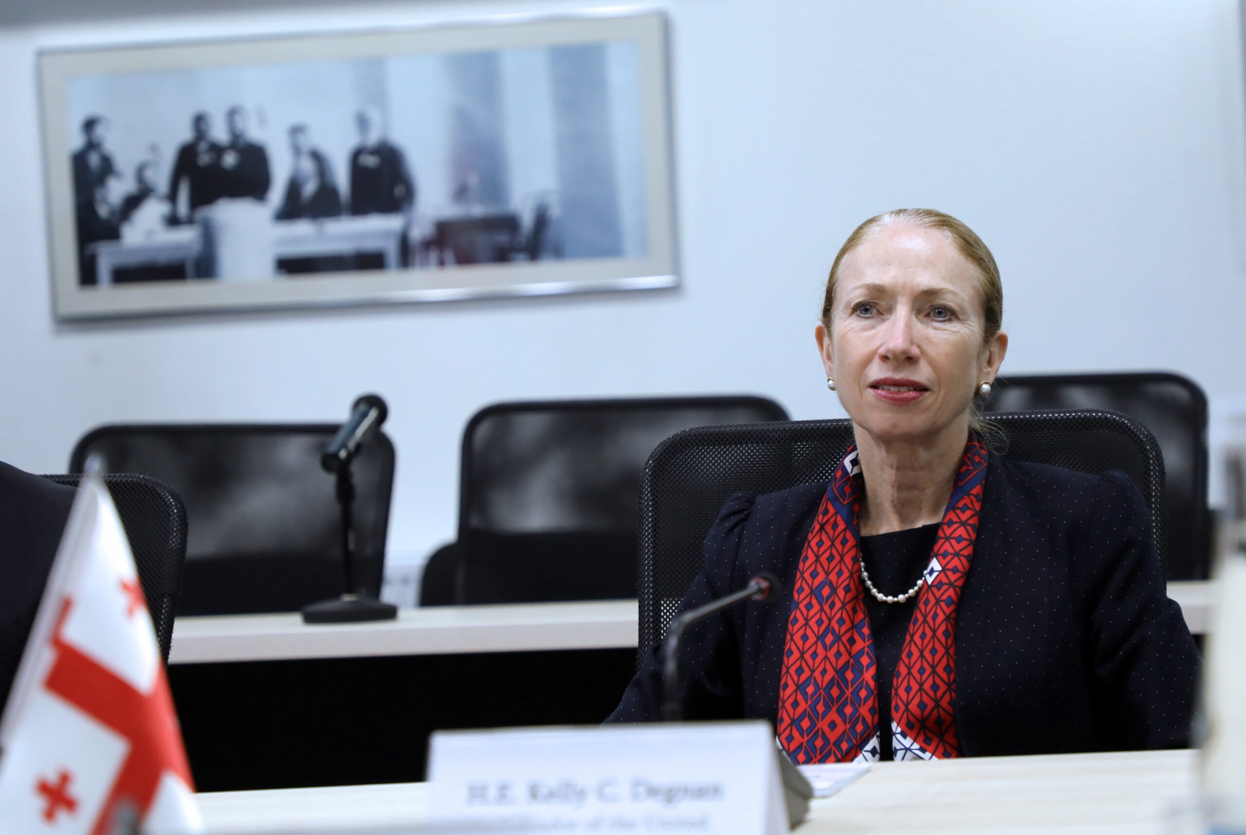 US Ambassador dismisses opposition leader’s reports on offered military package to Georgia