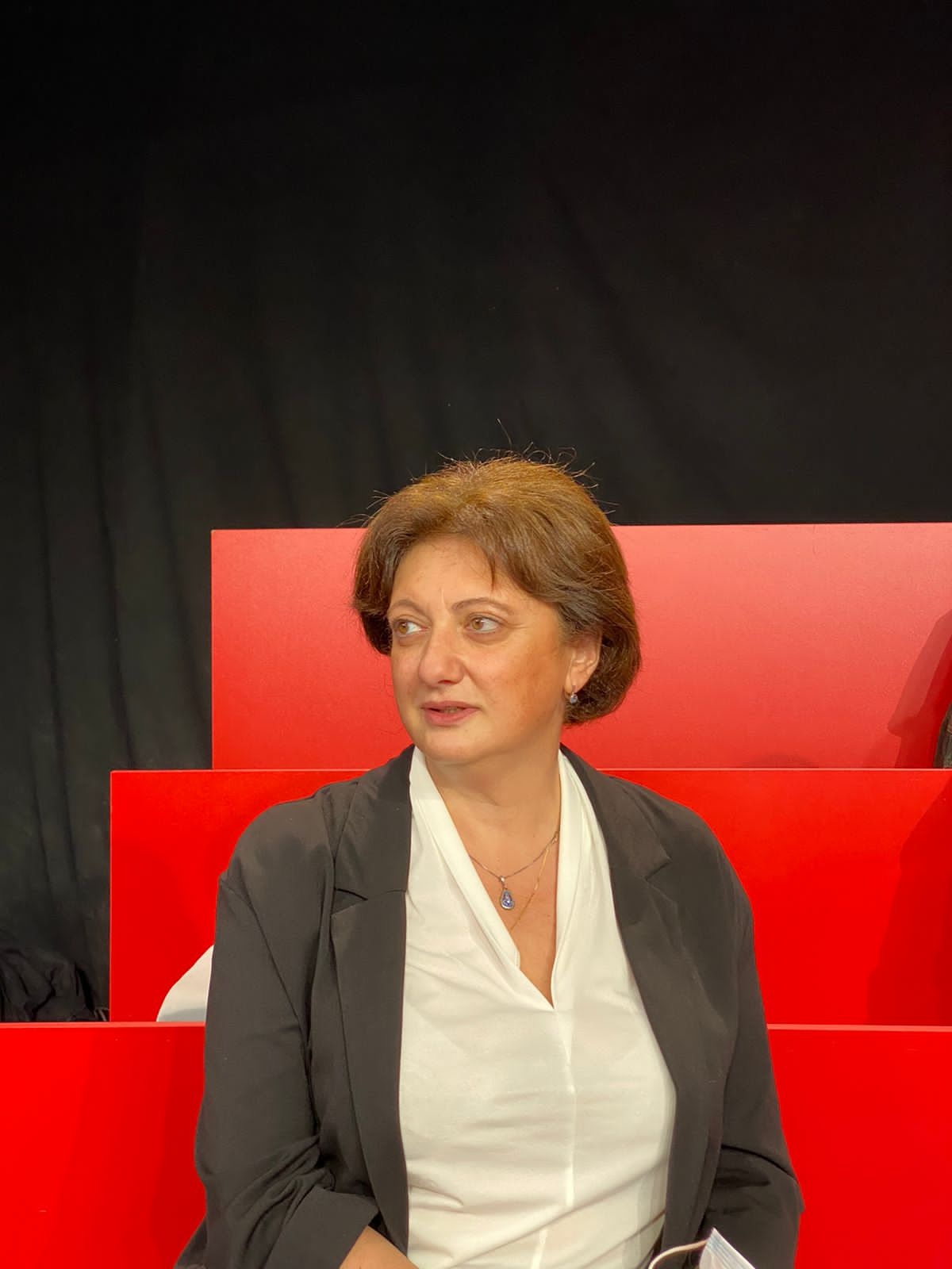 ნინო დოლიძე – ასეთი კვლევის და ნელი ფორმატის დრო სამწუხაროდ, არ გვაქვს, სწრაფადაა საკითხები გადასაწყვეტი