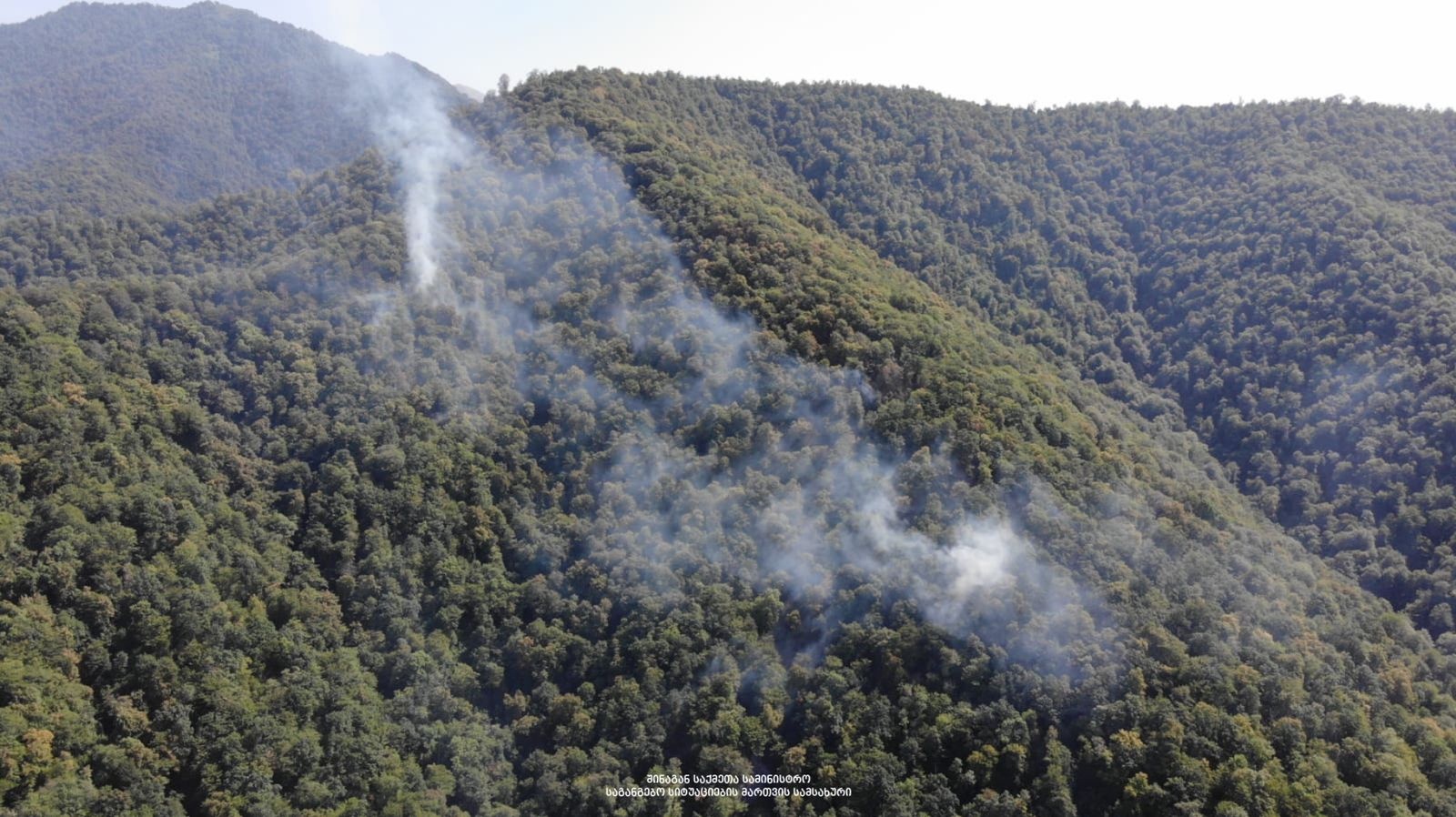 ყვარლის მუნიციპალიტეტში გაჩენილი ხანძარი ლოკალიზებულია