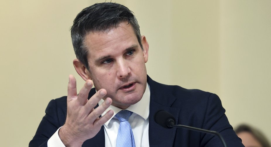 US Congressman Kinzinger slams Georgian PM over volunteers fighting in Ukraine