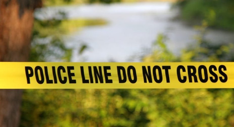 Bodies of father, children found in lake in Georgia