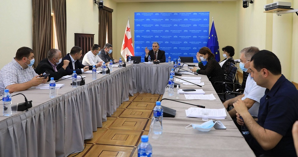 ადამიანის უფლებათა დაცვისა და სამოქალაქო ინტეგრაციის კომიტეტის თავმჯდომარის მოადგილედ ანა ბუჩუკური აირჩიეს