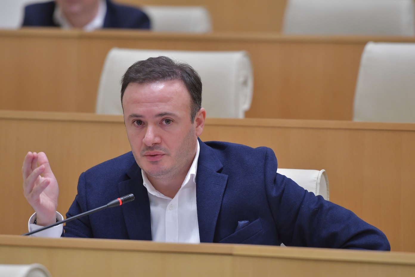 Ruling party MP: we’re proud of Georgians fighting in Ukraine, but not of everyone