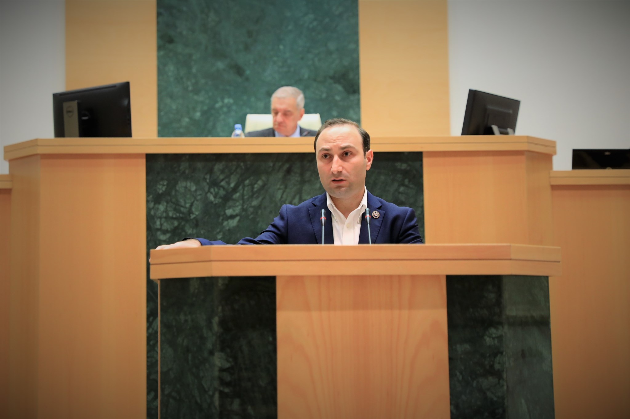 “ეს არის ქალბატონი ელჩის სუბიექტური და პერსონალური შეფასება”