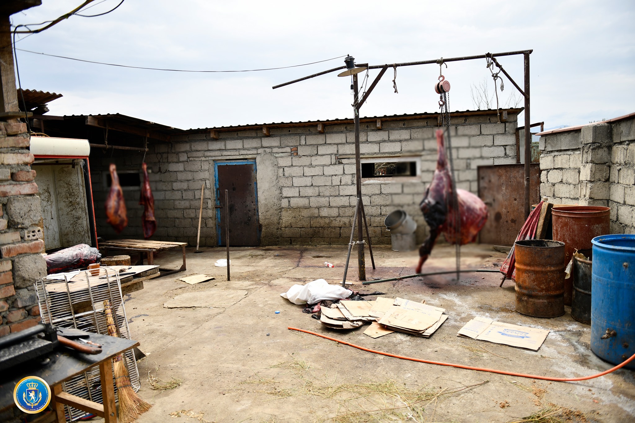 დააკავეს ორი პირი, რომლებიც დაავადებული ან მკვდარი ცხენისა და ვირის ხორცის რეალიზაციას ახდენდნენ