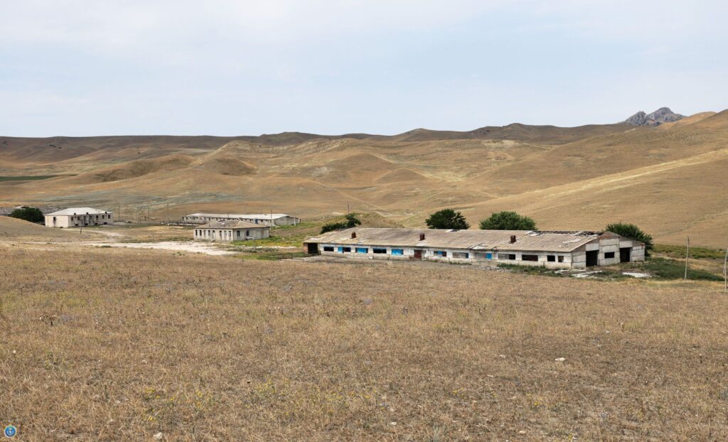 დიდი ოდენობით მიწის ნაკვეთის თაღლითურად დაუფლების მცდელობის ფაქტზე სამი პირი დააკავეს