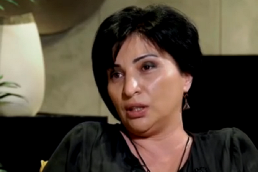 Radical opposition, not Russian migrants a threat for Georgia – ruling party MP