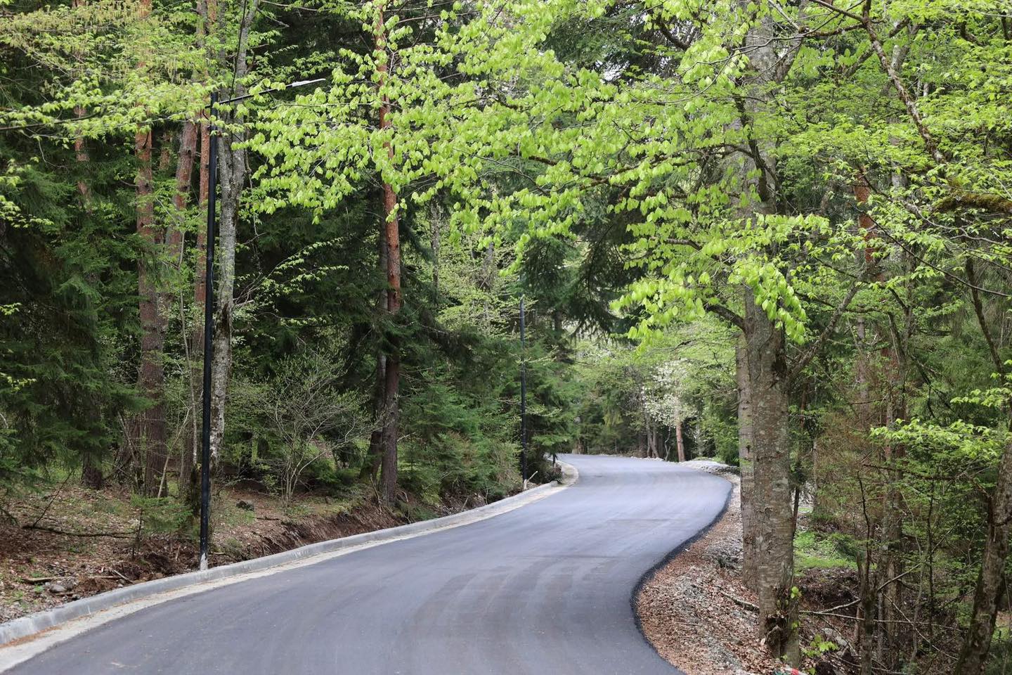 <p style="text-align: justify">ბორჯომის მუნიციპალიტეტში სოფლების - ტბისა და ცემის დამაკავშირებელ გზაზე გარე განათების ახალი ქსელი მოეწყო.</p><p style="text-align: justify">მუნიციპალიტეტის მერიის ინფორმაციით, პროექტი მოქალაქეთა ჩართულობის ხელშეწყობის პროგრამის ფარგლებში განხორციელდა.</p><p style="text-align: justify">პროექტის ღირებულებამ 60 000 ლარი შეადგინა.</p>