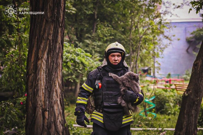 <p style="text-align: justify">7 ივნისის ღამეს რუსმა ოკუპანტებმა ხარკოვზე მთელი სრულმასშტაბიანი ომის განმავლობაში ყველაზე ძლიერი თავდასხმა განახორციელეს. დაბომბვამ ხანძარი გამოიწვია, არის მსხვერპლი და ნგრევა.</p><p style="text-align: justify">"წინასწარი მონაცემებით, ხარკოვის ტერორისტული დაბომბვის შედეგად, ამ წუთის მონაცემებით, ზიანი მიადგა 18 საცხოვრებელ კორპუსს (სამი მათგანის კონსტრუქცია დაზიანდა) და 13 კერძო სახლი“, - წერს ქალაქის მერი იგორ ტერეხოვი.</p><p style="text-align: justify">ხარკოვის რეგიონული სამხედრო ადმინისტრაციის ხელმძღვანელის ოლეგ სინეგუბოვის ინფორმაციით, სამოქალაქო საწარმოს ტერიტორიაზე 40 უპილოტო საფრენი აპარატის, 4 KAB-ის და 1 რაკეტის დაცემის შედეგად, 10,000 კვადრატული მეტრის ფართობზე ხანძარი გაჩნდა.</p><p style="text-align: justify">"დარტყმები ოთხი სახელოსნოს შენობაზე დაფიქსირდა. შესაძლოა, ნანგრევების ქვეშ ადამიანები იყვნენ“, - წერს სინეგუბოვი.</p><p style="text-align: justify">წინასწარი მონაცემებით, რუსების თავდასხმის შედეგად სამი ადამიანი დაიღუპა, 17 დაშავდა, მათ შორის ორი ბავშვი - 14 წლის გოგონა და 1,5 თვის ჩვილი.</p><p>&nbsp;</p>