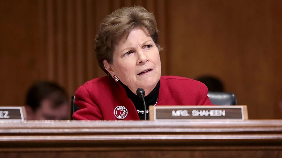 US Senator urges passage of MEGOBARI Act to confront Georgian Gov’t 