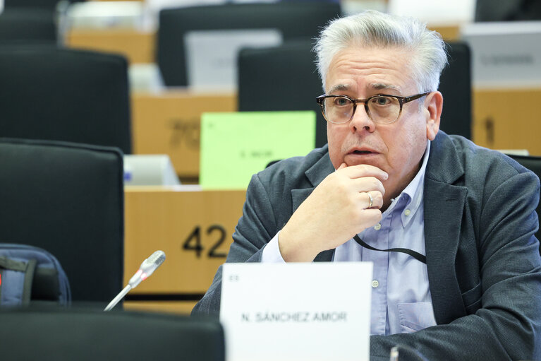 Spanish MEP Nacho Sánchez Amor: Georgian Dream only responds to personal sanctions