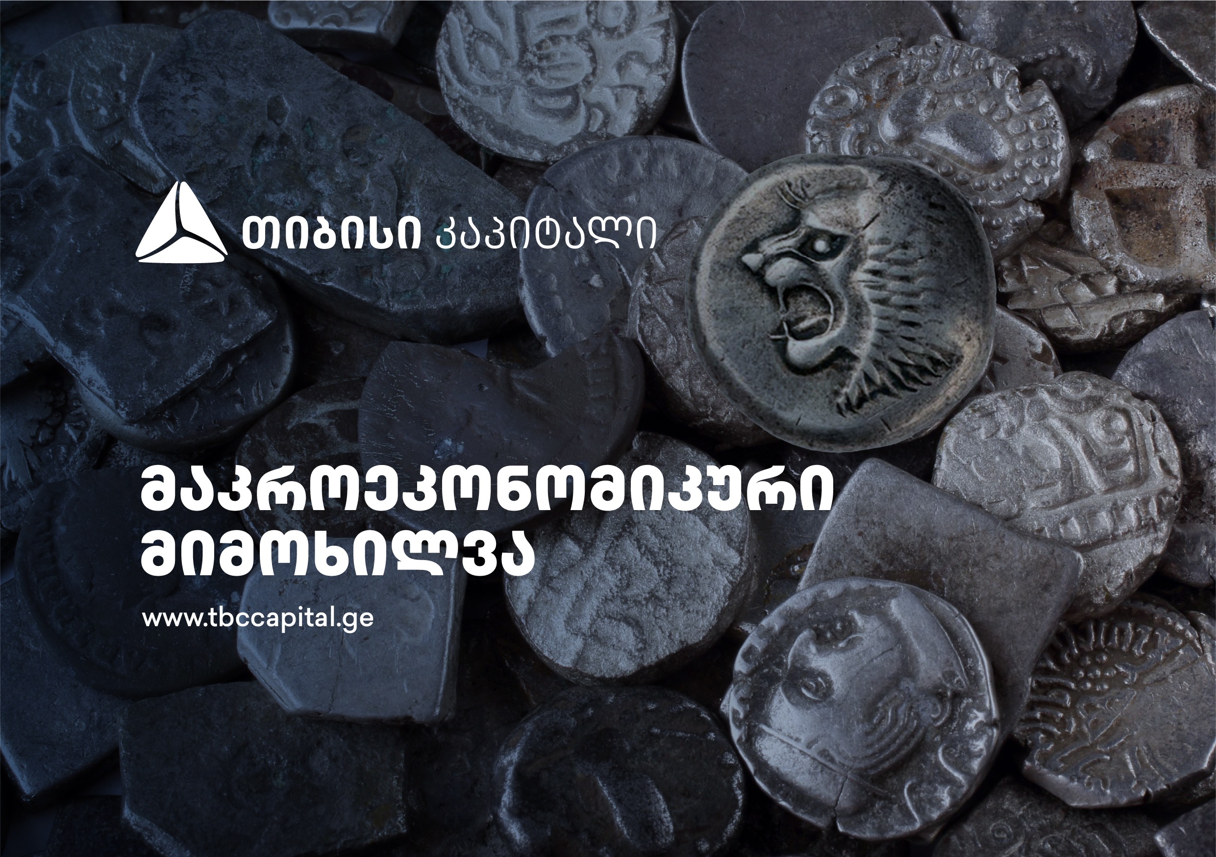 თიბისი კაპიტალმა ყოველთვიური მაკროეკონომიკური მიმოხილვა გამოაქვეყნა - საქართველო: დებიტორი და კრედიტორი