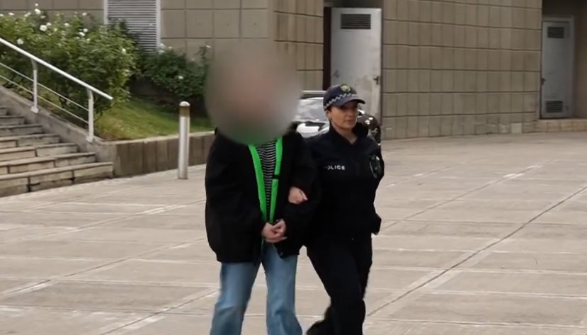 Foreign national arrested in Tbilisi on charge of large-scale drug offences