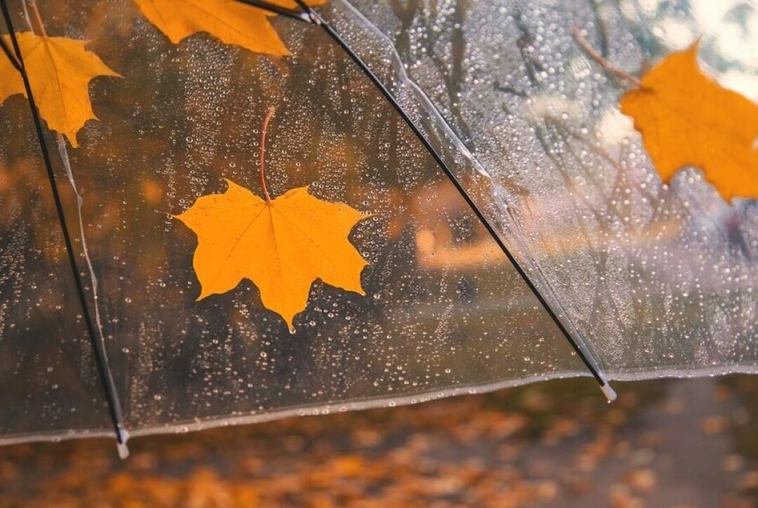 15-17 ნოემბერს მოსალოდნელი ამინდი საქართველოში