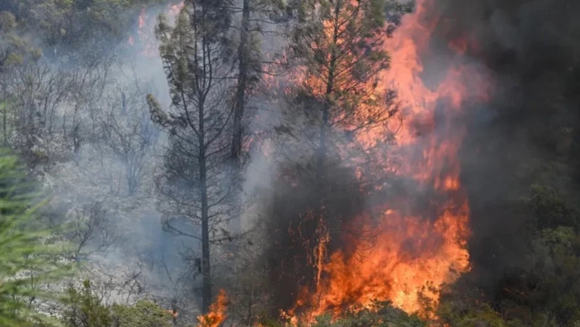 ბაღდათში, სოფელ ხანის მიმდებარედ, შერეული ტყის ფერდობზე ხანძარია
