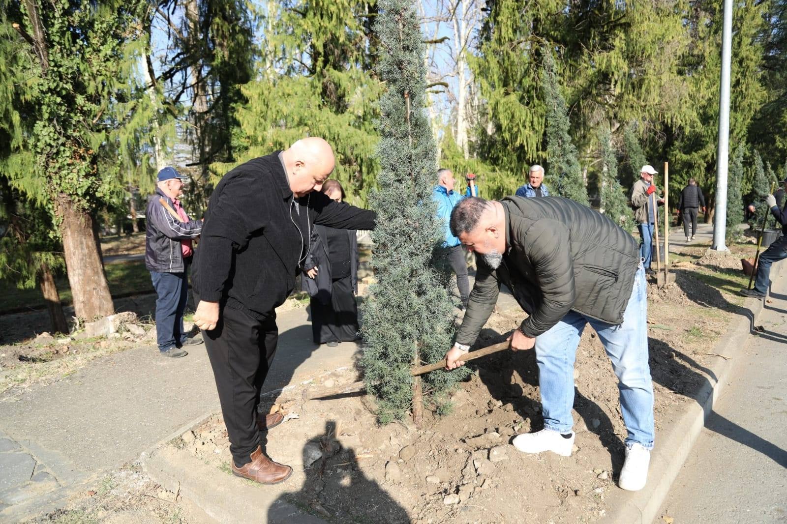 წყალტუბოს მუნიციპალიტეტის მერის ინიციატივით, ქალაქში მწვანე საფარის განახლება და რეკრეაციული ზონების მოწყობა გრძელდება