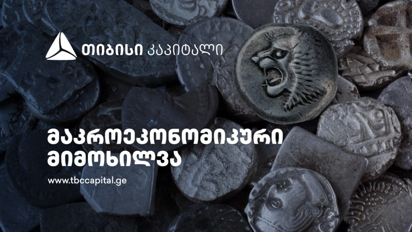 თიბისი კაპიტალმა ყოველთვიური მაკროეკონომიკური მიმოხილვა გამოაქვეყნა - ზრდა ნორმალიზდება, სავალუტო ბაზარზე კვლავ სიჭარბეა