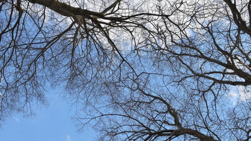 6-8 დეკემბერს მოსალოდნელი ამინდი საქართველოში