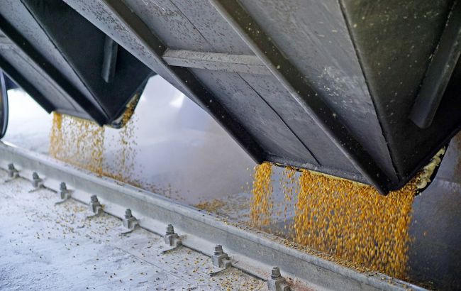 Poland, Ukraine in talks to resume food, grain transit