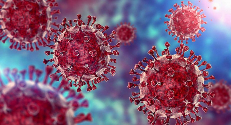 Georgia on peak of Omicron infections
