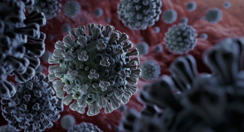 Coronavirus in Georgia: new cases stand at 4,128, deaths hit record high 79