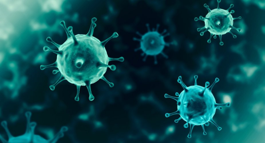 5 914 new cases of coronavirus have been detected in Georgia