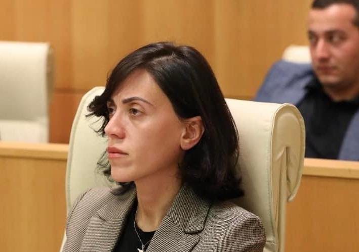 ანა წითლიძე – სავსეა პარლამენტი სუს-ით, სპეცდაცვის თანამშრომლებით, კრიმინალური პოლიციით