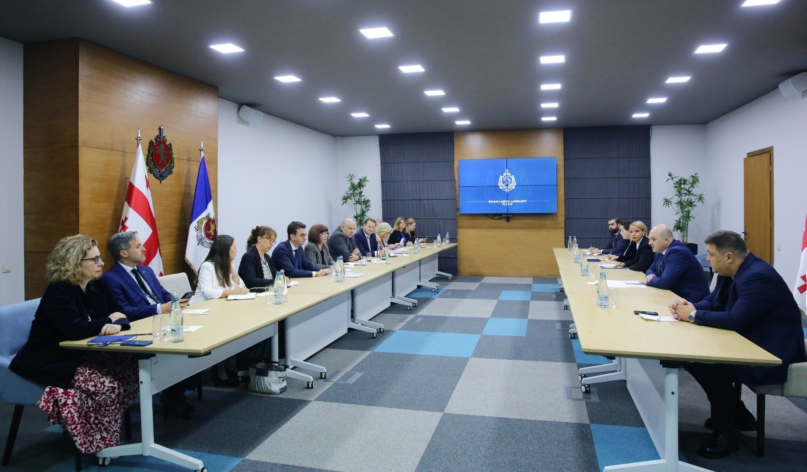შს მინისტრის მოადგილე ევროპის საბჭოს საპარლამენტო ასამბლეის წარმომადგენლებს შეხვდა