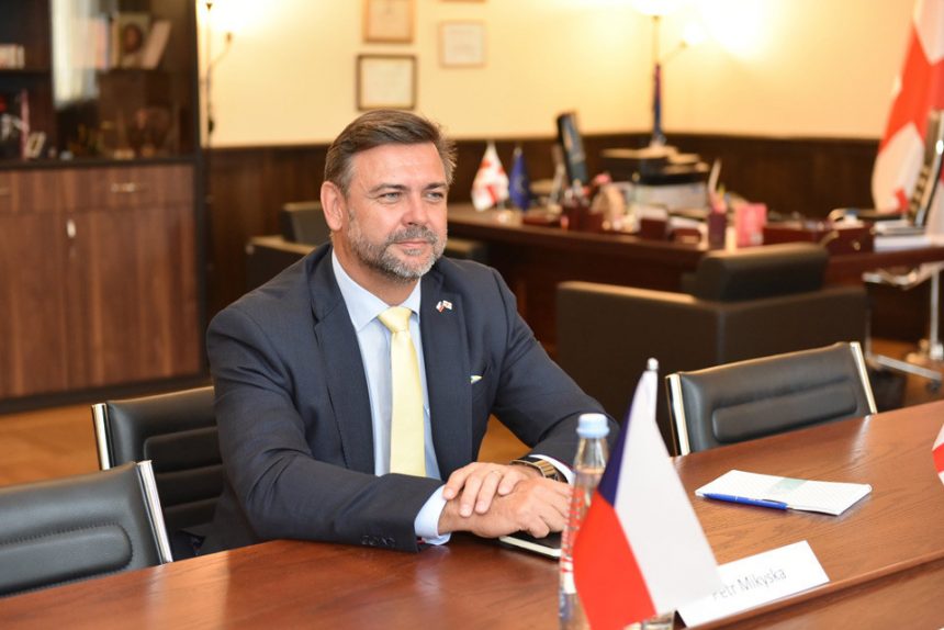 ჩეხეთის ელჩი – ეს ფაქტობრივად არის ძალადობის და ურთიერთსიძულვილის წახალისება