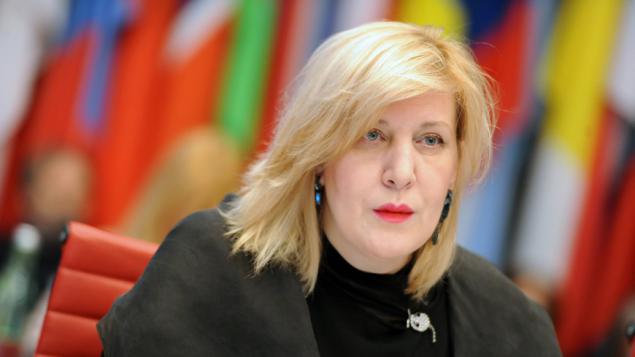 დღეს საქართველოს ევროკომისარი დუნია მიატოვიჩი ეწვევა