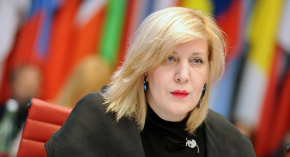 დუნია მიატოვიჩი საქართველოს პარლამენტს სახელმწიფო ინსპექტორის სამსახურის შესახებ კანონპროექტის დაჩქარებული წესით მიღებისგან თავის შეკავებისკენ მოუწოდებს