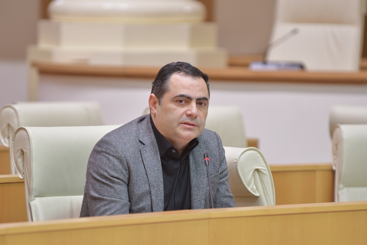 ალექსანდრე მოწერელია – შესაძლო კორუფციული გარიგების თვალსაჩინო მაგალითი არის ბალდის კანიონი