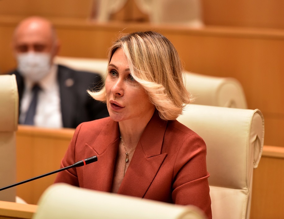 ნინო წილოსანი – თუ ამ ექსტრემისტების ჯგუფს მეტი ნაწილი გამოაკლდება, ქვეყანა უფრო დამშვიდდება