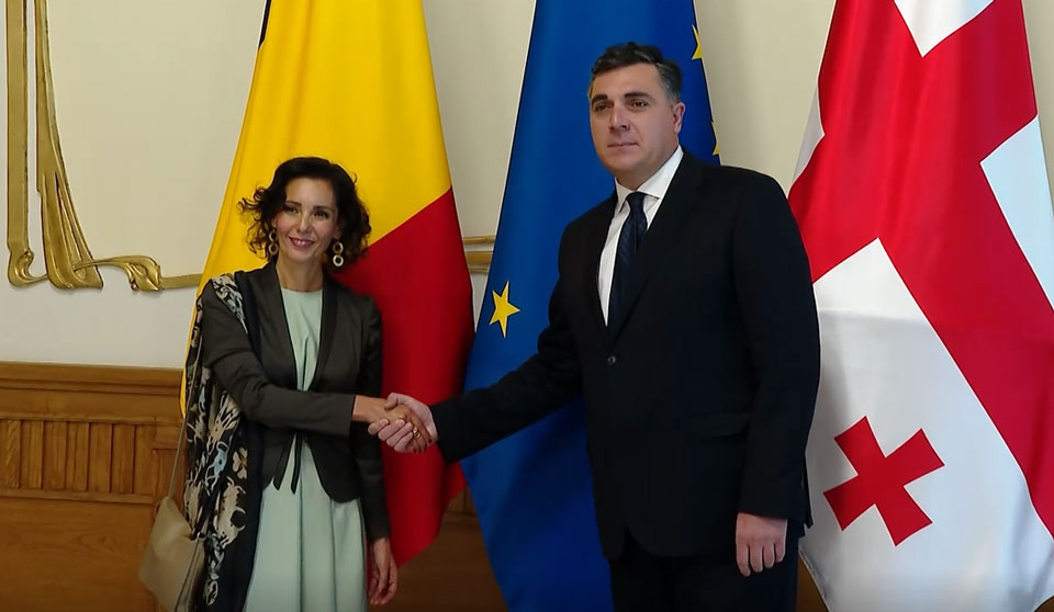 ილია დარჩიაშვილი ბელგიის სამეფოს საგარეო საქმეთა, ევროპის საქმეთა და საგარეო ვაჭრობის, ფედერალური კულტურული ინსტიტუტების მინისტრს შეხვდა