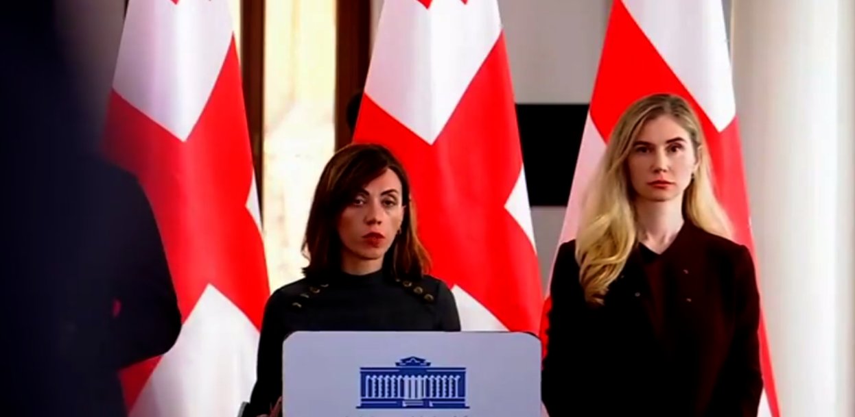 ანა წითლიძე – შევხდებით საერთაშორისო პარტნიორებს, დიპლომატიურ წარმომადგენლებს, საელჩოებს, რომ გავაცნოთ ჩვენი საკანონმდებლო ინიციატივა