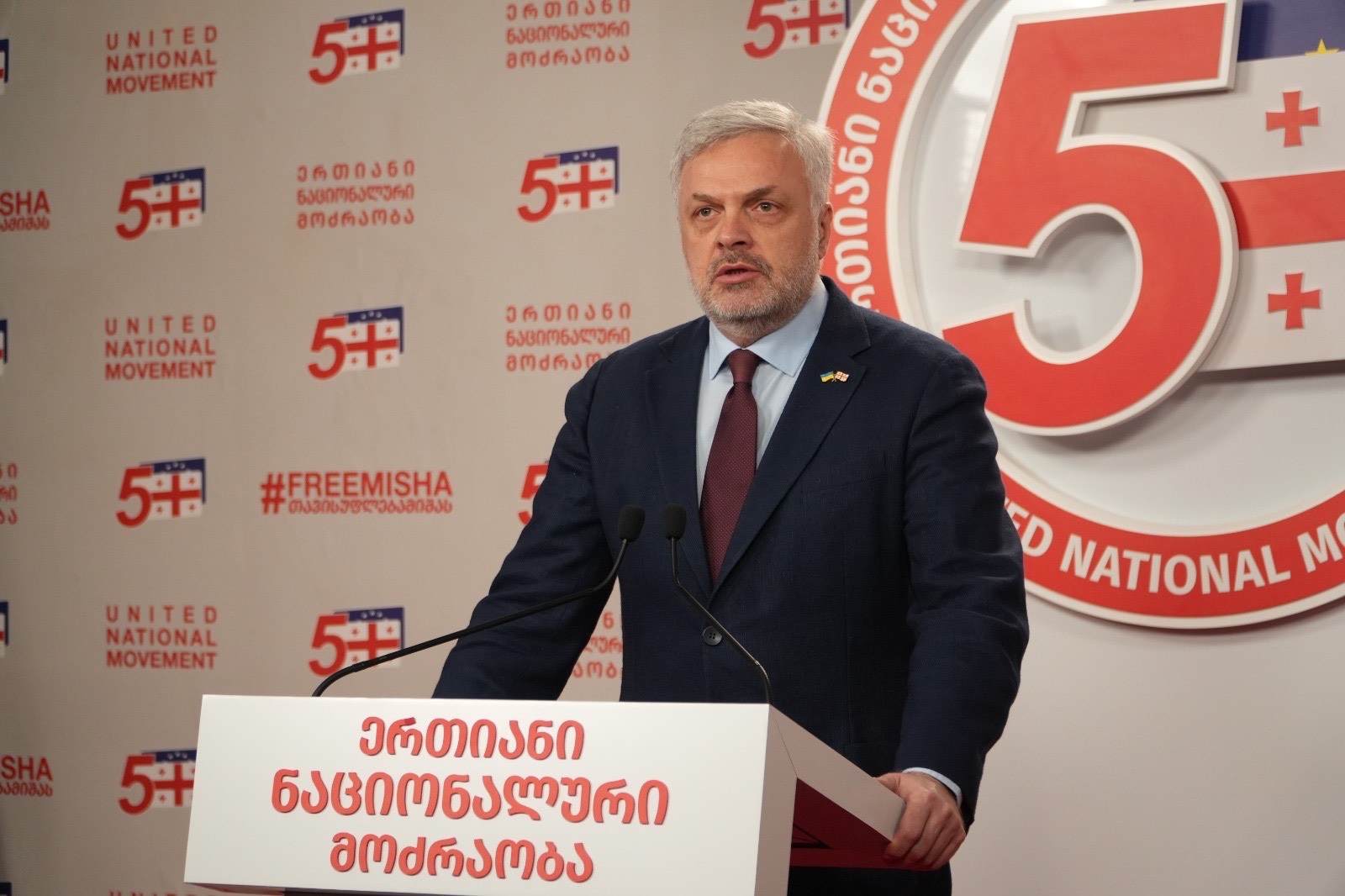 Georgia preserved its sovereignty by repelling Russian aggression in 2008, UNM official