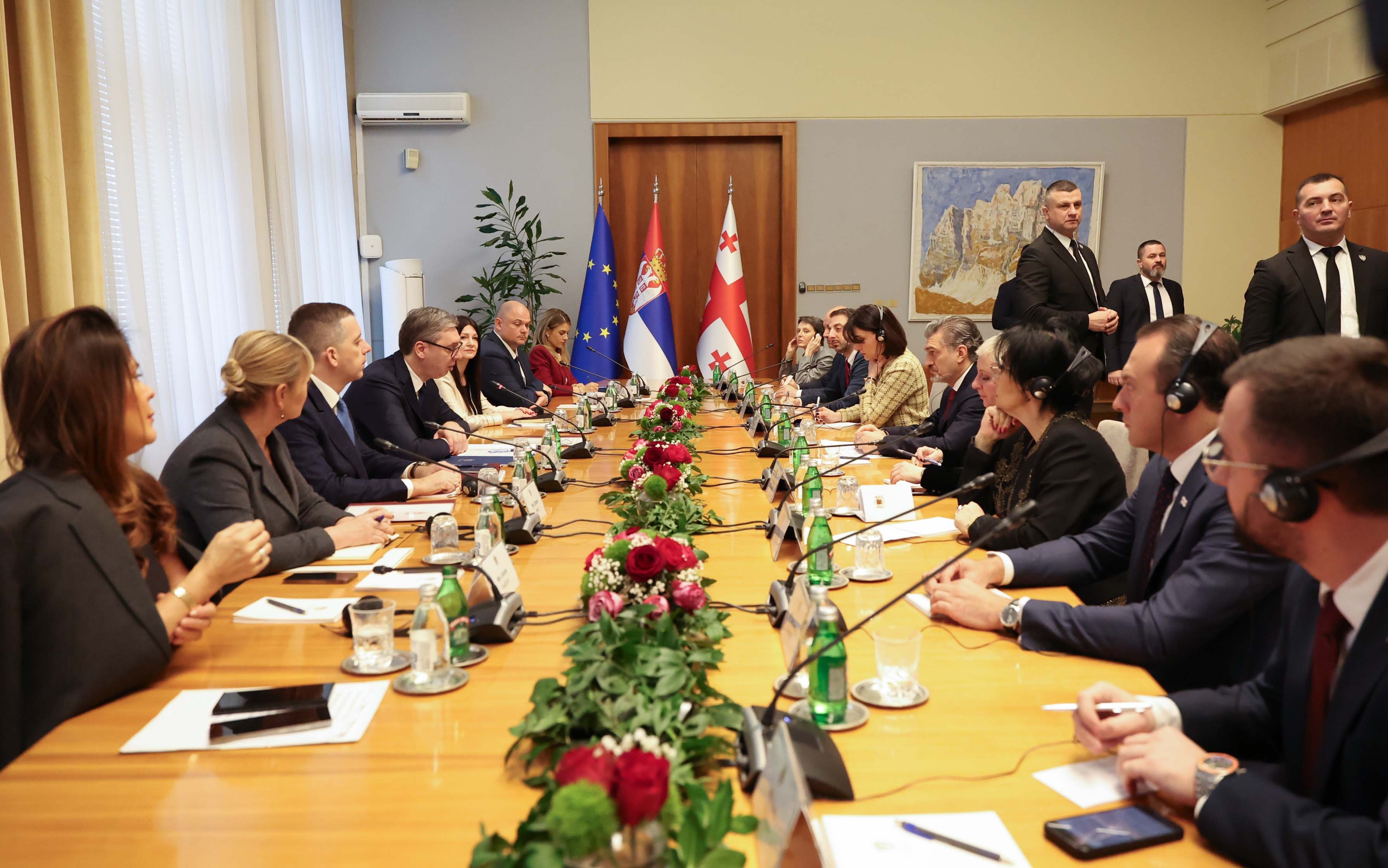 მიხეილ ყაველაშვილმა ალექსანდარ ვუჩიჩთან დელეგაციების მონაწილეობით გაფართოებული ფორმატის შეხვედრა გამართა