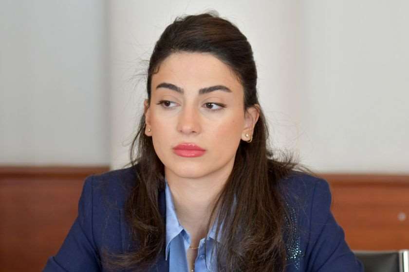 ლიკა შარტავა – მინდა მივმართო ჩემს თანატოლებს, ახალგაზრდებს, მათ ვისაც გული შესტკივათ ჩვენი ქვეყნის მომავალზე, თვალყური ადევნონ კომისიის მსვლელობას