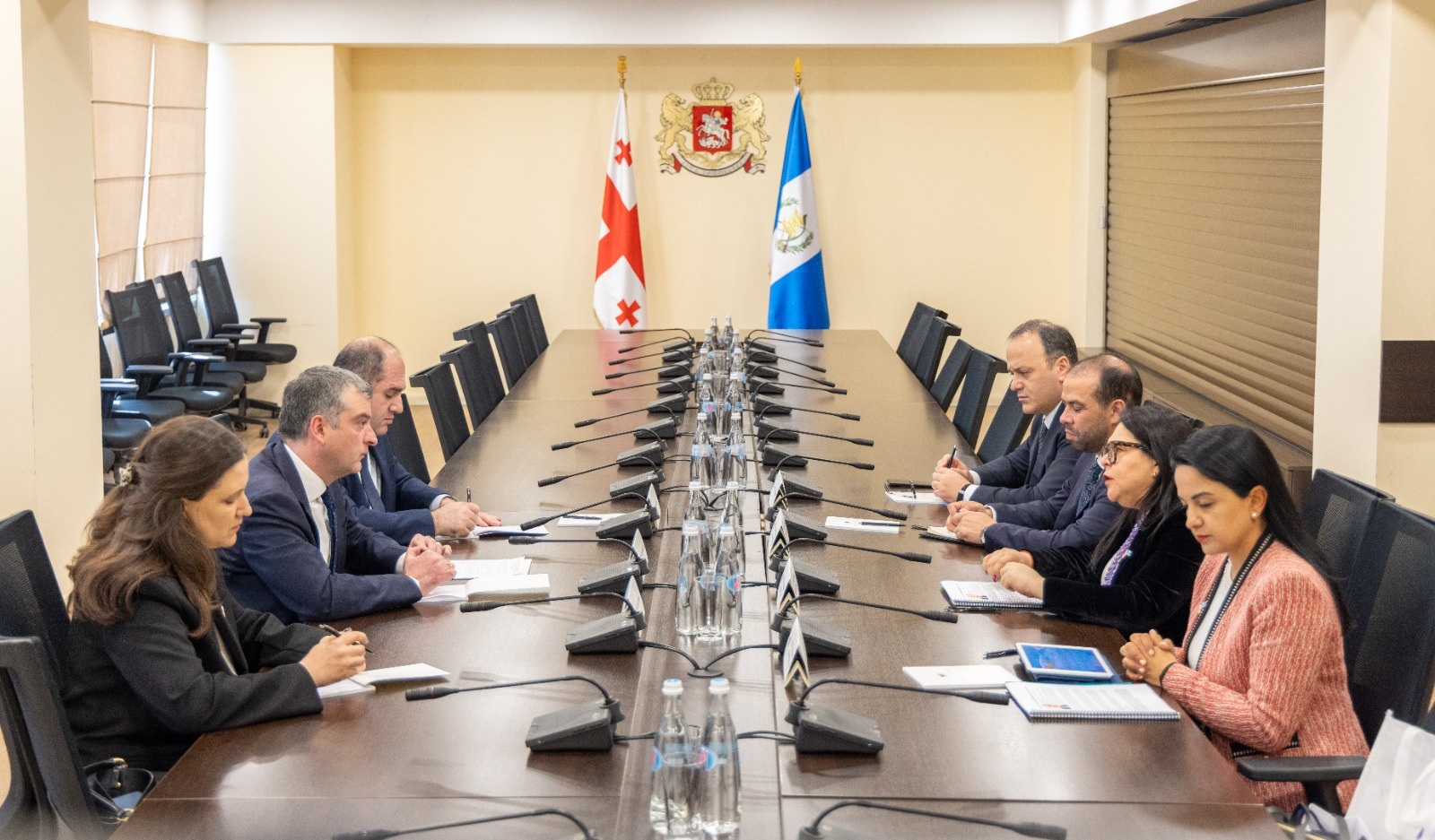 პაატა პატიაშვილმა გვატემალის საგარეო საქმეთა მინისტრის მოადგილეს უმასპინძლა
