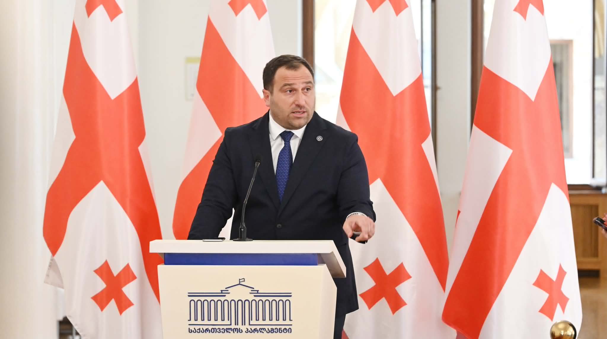 Ruling party MP: PM's speech highlighted Georgia's peace, stability and economic progress