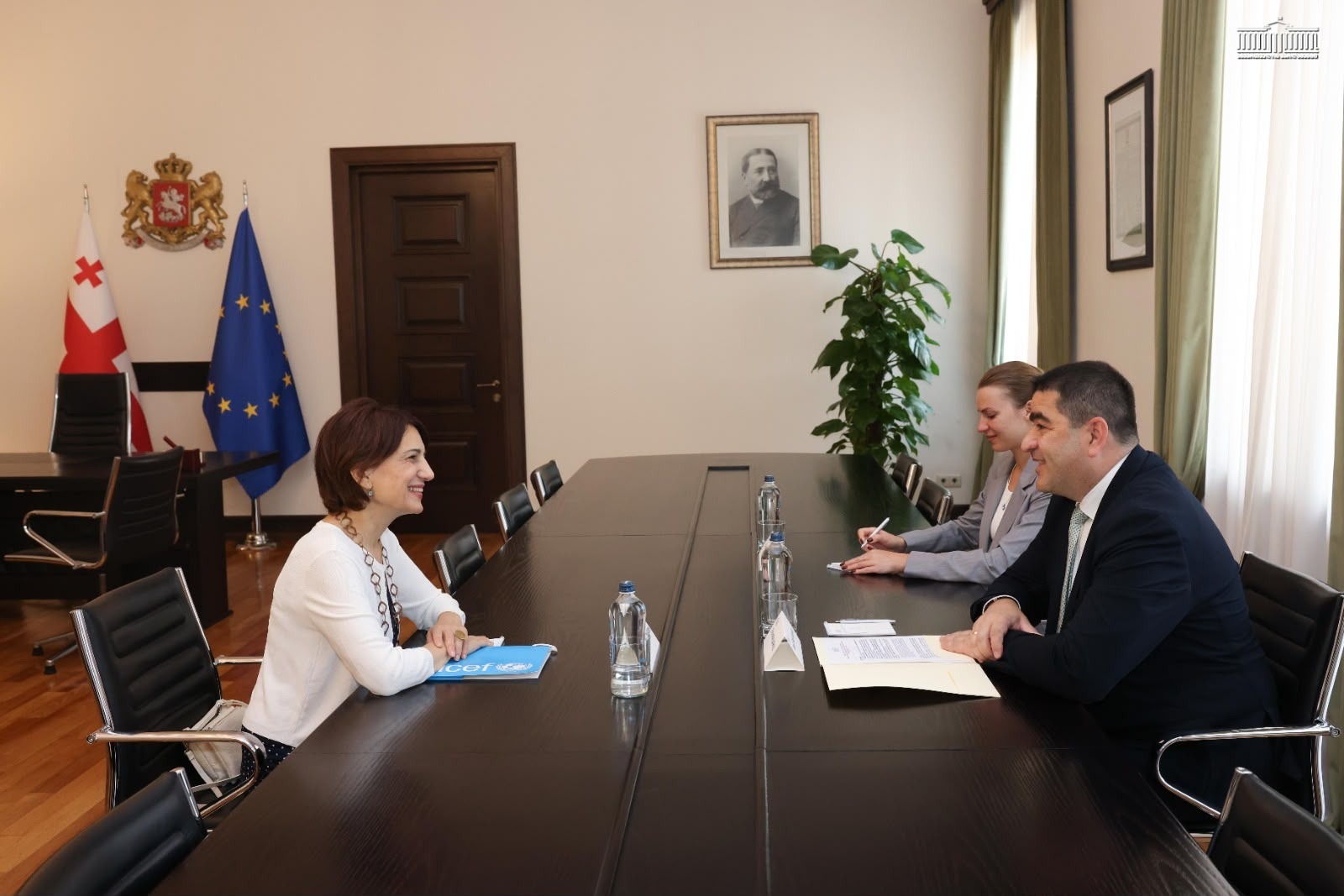 შალვა პაპუაშვილი საქართველოში UNICEF-ის ახალ წარმომადგენელს შეხვდა