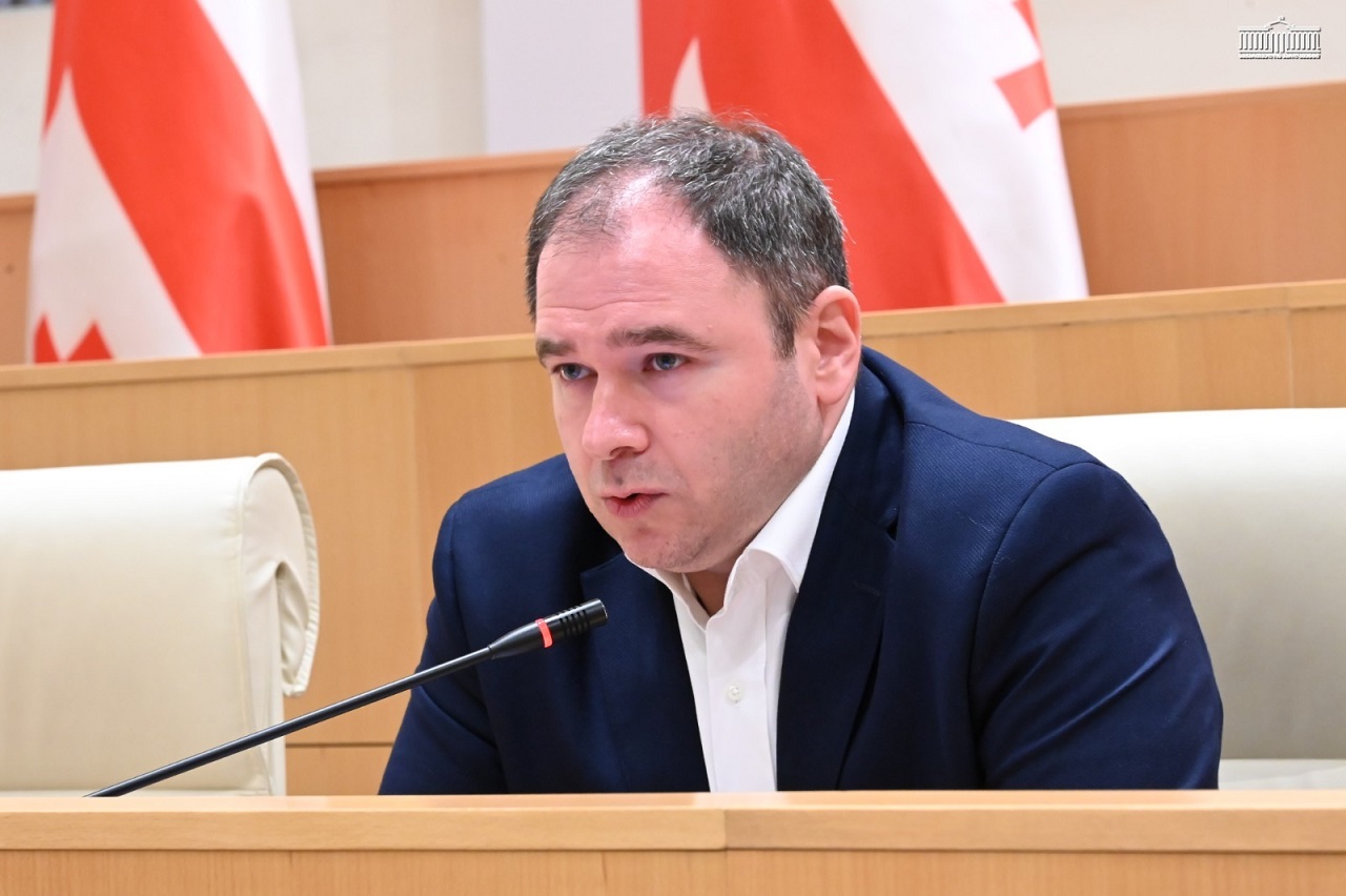 ნიკოლოზ სამხარაძე - მოვიმხრობთ უფრო და უფრო მეტ წევრ ქვეყანას, რათა პოლიტიკური დიალოგის აღდგენა მათვე მოსთხოვონ ევროკომისიას