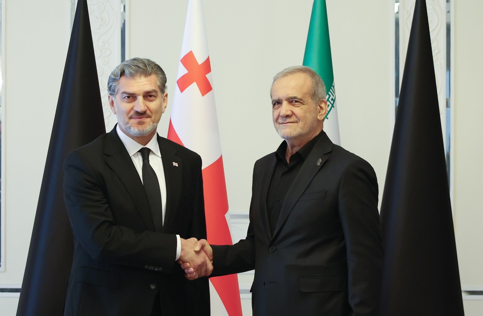 Georgian president meets Iranian counterpart during Tehran visit