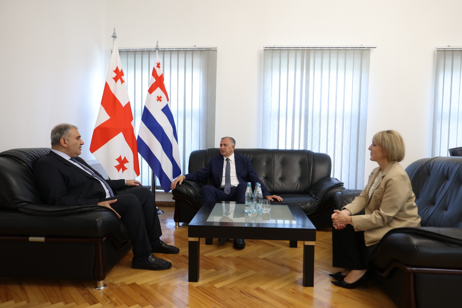 მიხეილ სარჯველაძე აჭარის ავტონომიური რესპუბლიკის მთავრობის თავმჯდომარესა და ჯანდაცვის მინისტრს შეხვდა