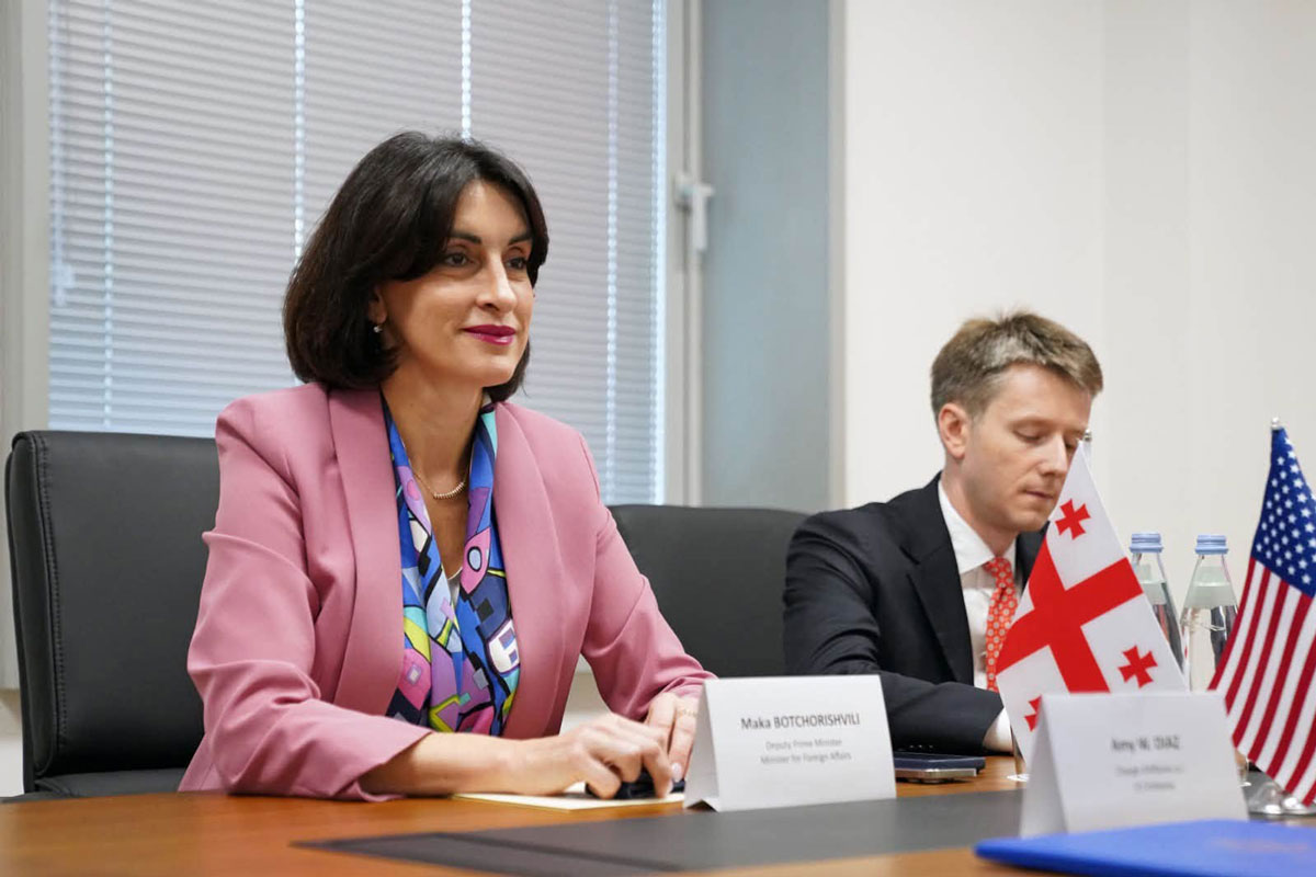 Georgian Foreign Minister meets US Chargé d’Affaires in introductory talks