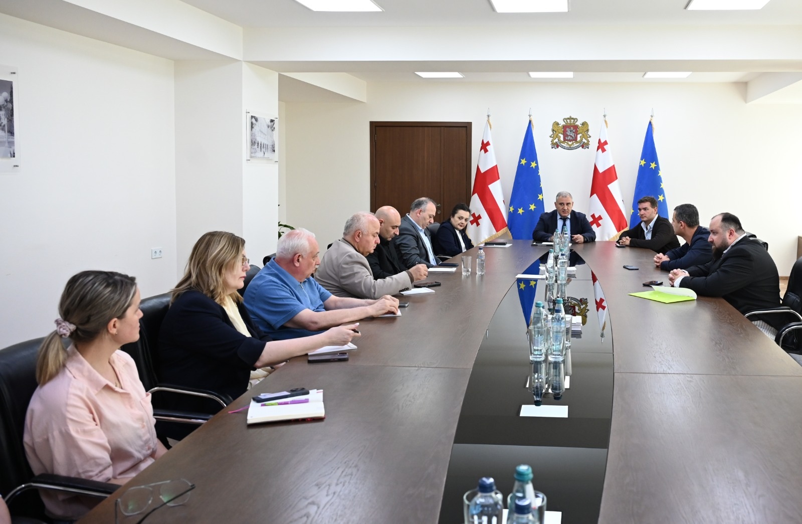 მიხეილ სარჯველაძე პროფესიული საგანმანათლებლო დაწესებულების "მედსქილის“ ხელმძღვანელებს შეხვდა
